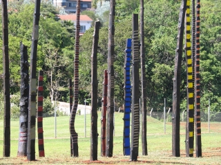 Arbres Brulés - UNEP Nairobi Kenya