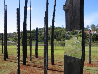 Arbres Brulés - UNEP Nairobi Kenya2