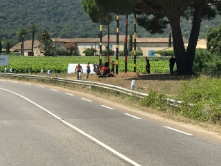 PASTOR Les Arbres Brules 2018