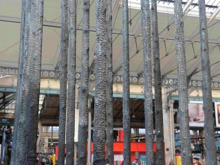 2014.ArbresBrules_SNCFParisGareduNord88_photosJacquesMurawskiw