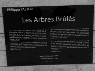 2014.ArbresBrules_SNCFParisGareduNord114