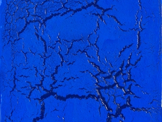 Philippe PASTOR 2012Colle et pigments sur toile116x89cm